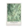 Map of Bloomingdale, Ohio, 12 x 18 inch unframed archival matte print