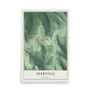 Map of Deersville, Ohio, 12 x 18 inch unframed archival matte print