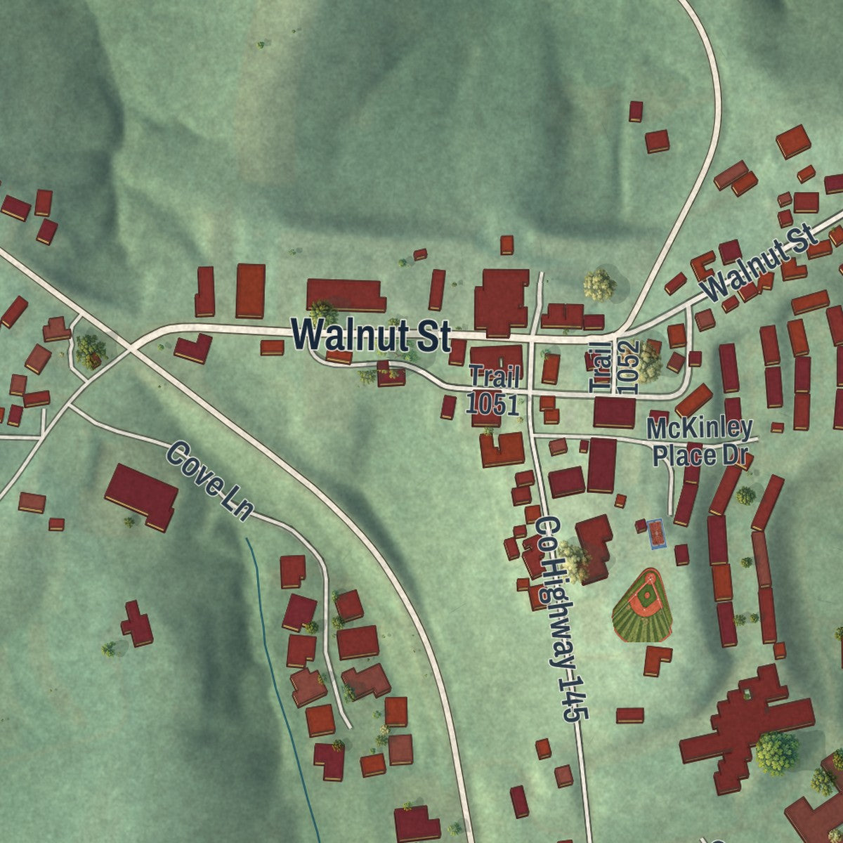 Close-up of the map of Walnut Creek, Ohio print showing street and building detail