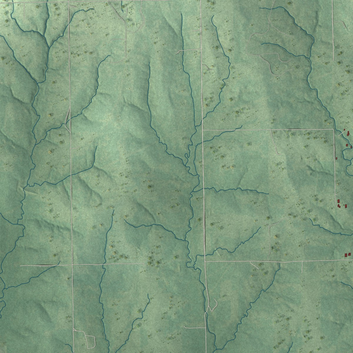 Close-up of the map of Gypsy, Oklahoma print showing street and building detail