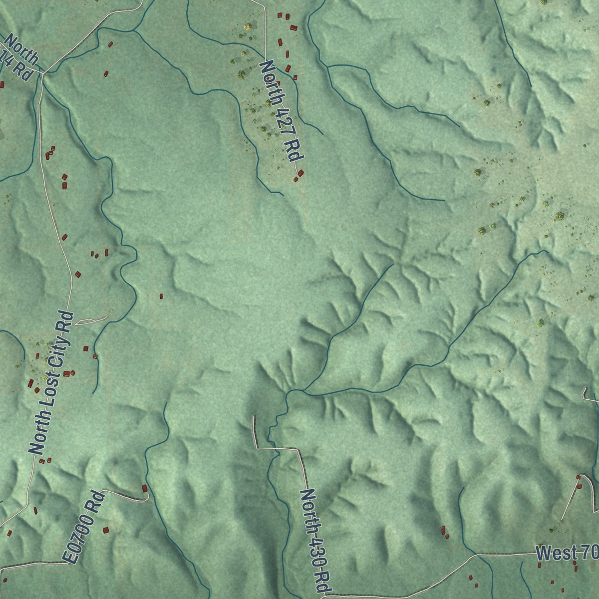 Close-up of the map of Lost City, Oklahoma print showing street and building detail