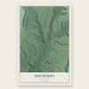 Mulberry, Oklahoma map print, the full design