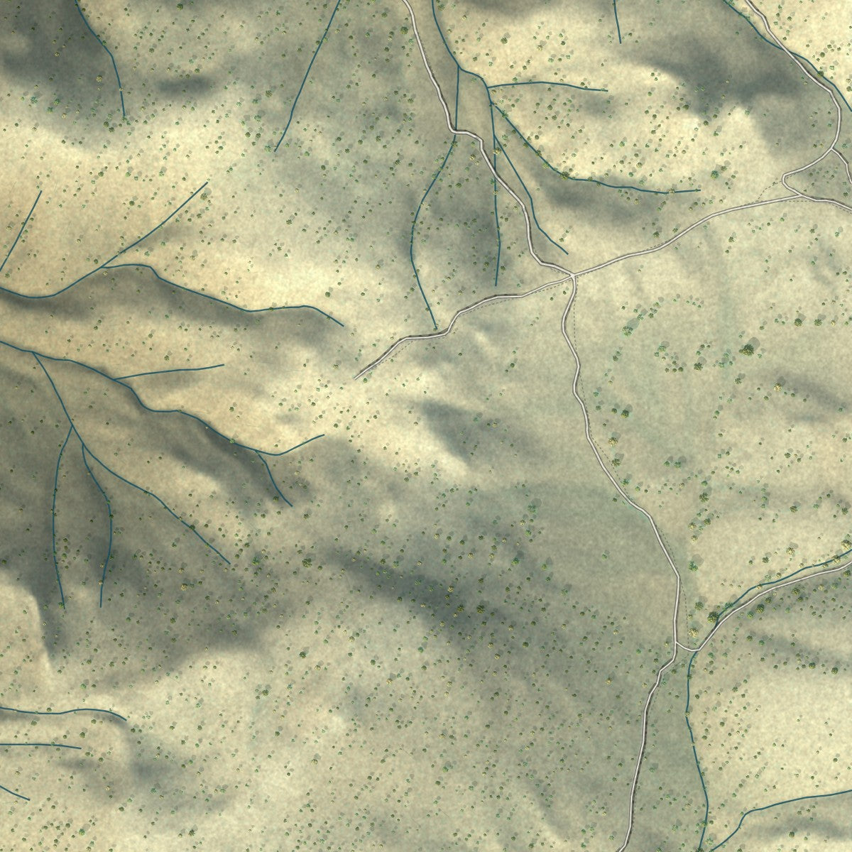 Close-up of the map of Ashwood, Oregon print showing street and building detail