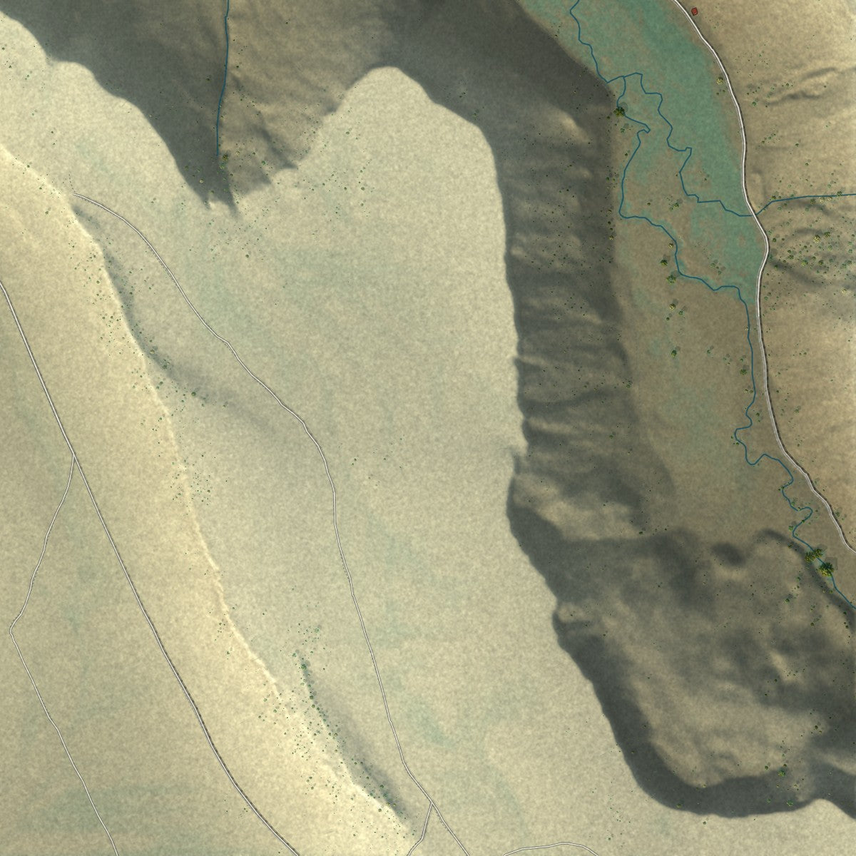 Close-up of the map of Diamond, Oregon print showing street and building detail