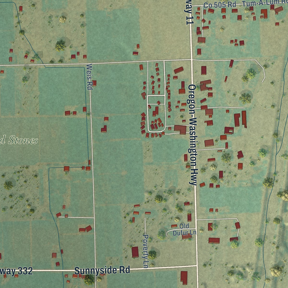 Close-up of the map of Ferndale, Oregon print showing street and building detail