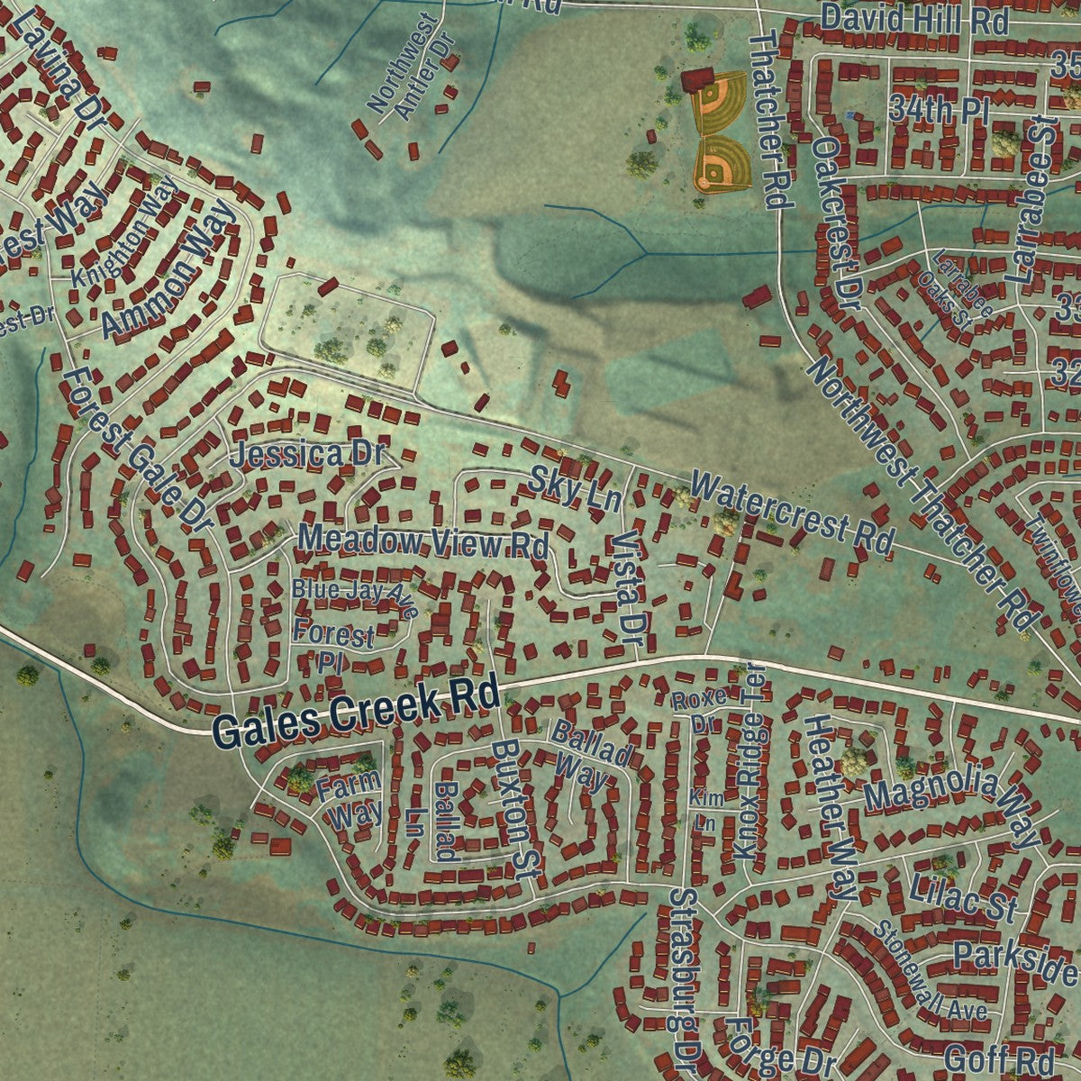 Close-up of the map of Forest Grove, Oregon print showing street and building detail