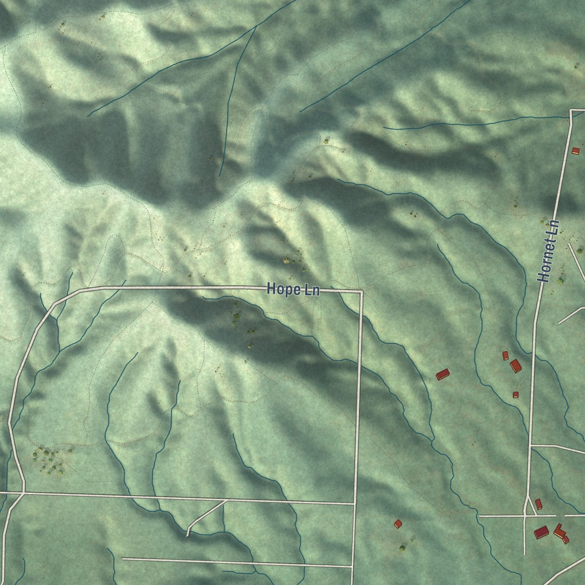 Close-up of the map of New Hope, Oregon print showing street and building detail