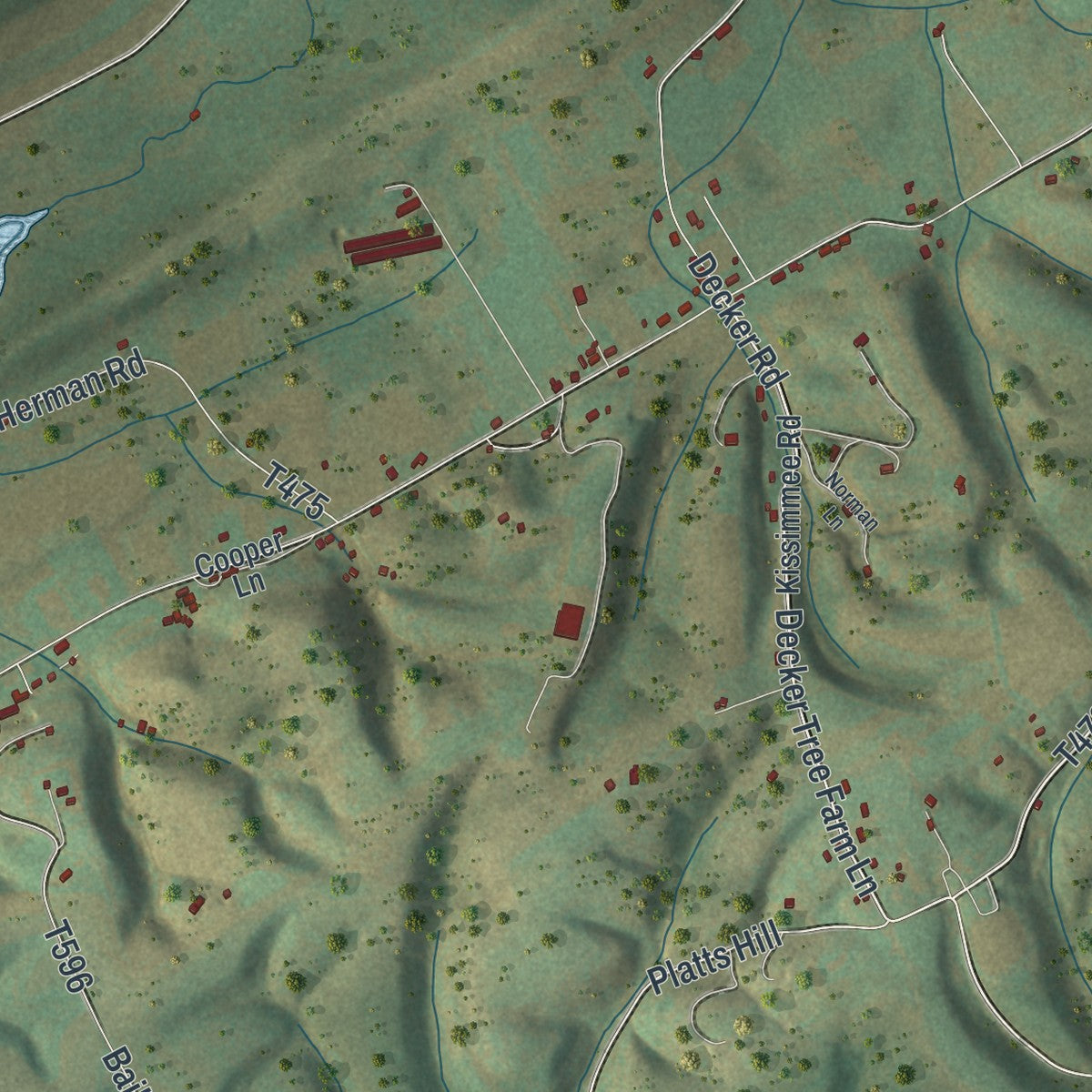 Second close-up of the map of Adams, Snyder County, Pennsylvania print showing more streets and buildings