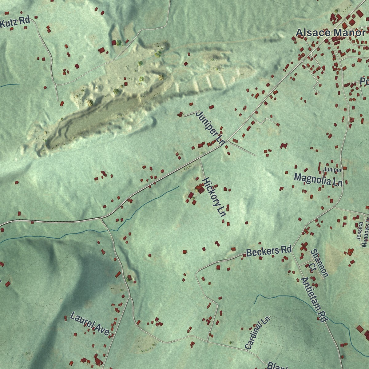 Close-up of the map of Alsace, Pennsylvania print showing street and building detail