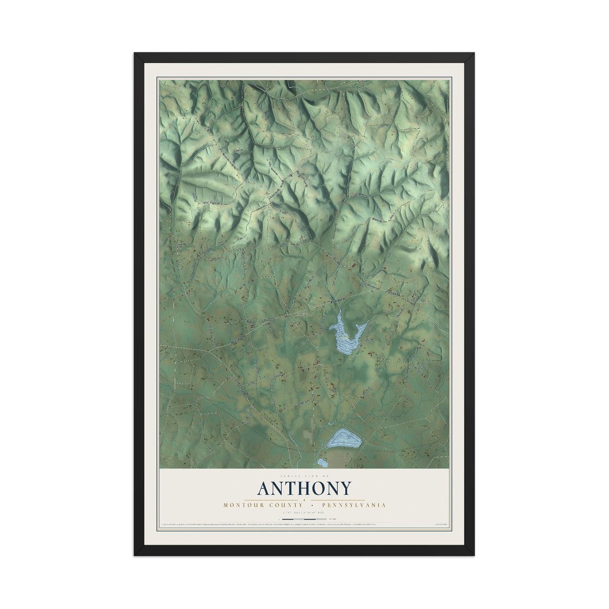 Map of Anthony, Montour County, Pennsylvania, 12 x 18 inch print in a black wood frame