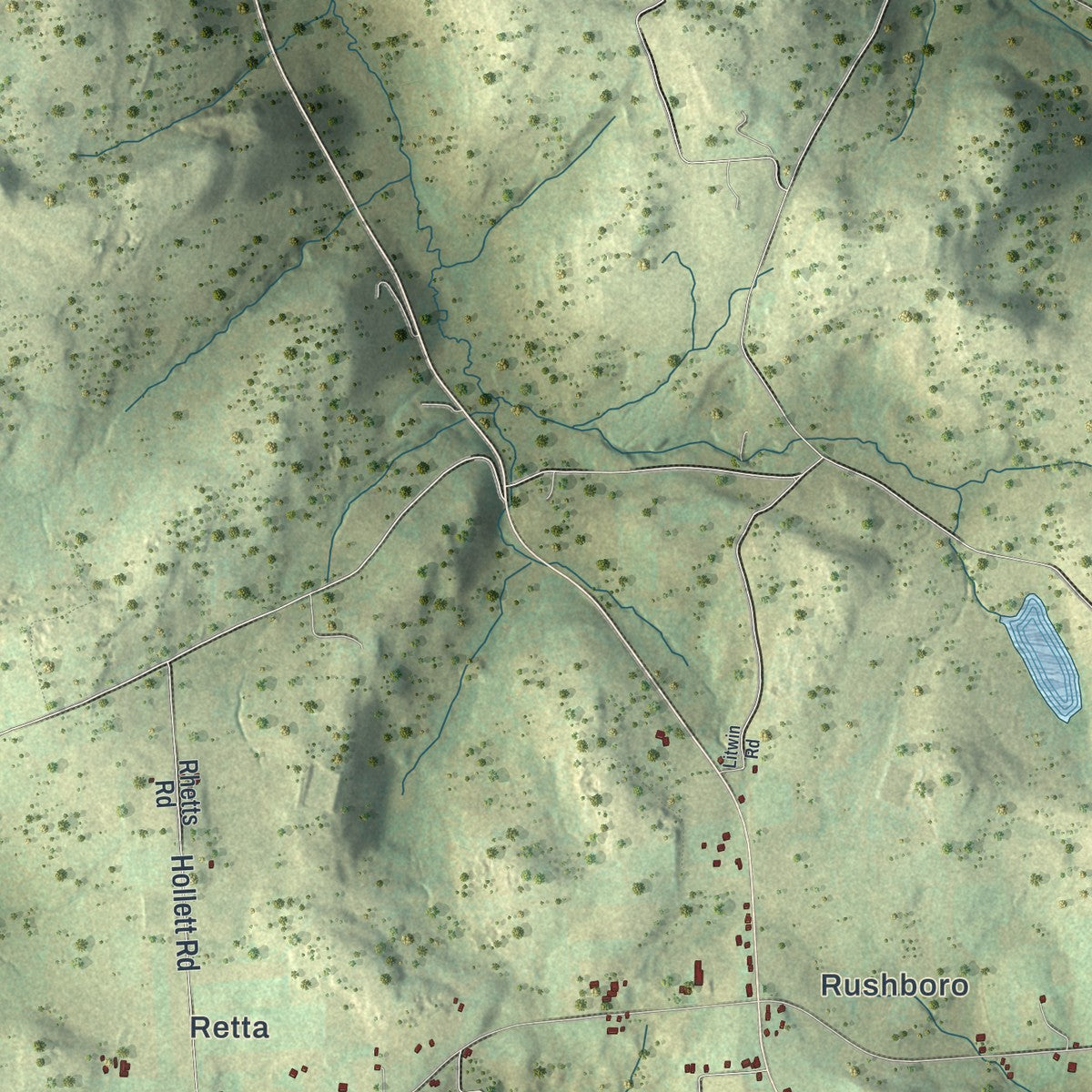 Close-up of the map of Auburn, Susquehanna County, Pennsylvania print showing street and building detail