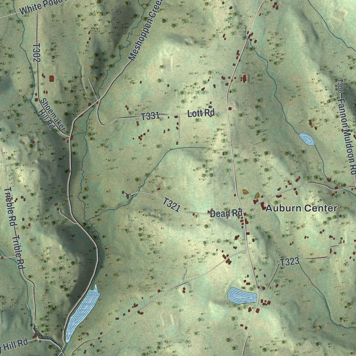 Second close-up of the map of Auburn, Susquehanna County, Pennsylvania print showing more streets and buildings