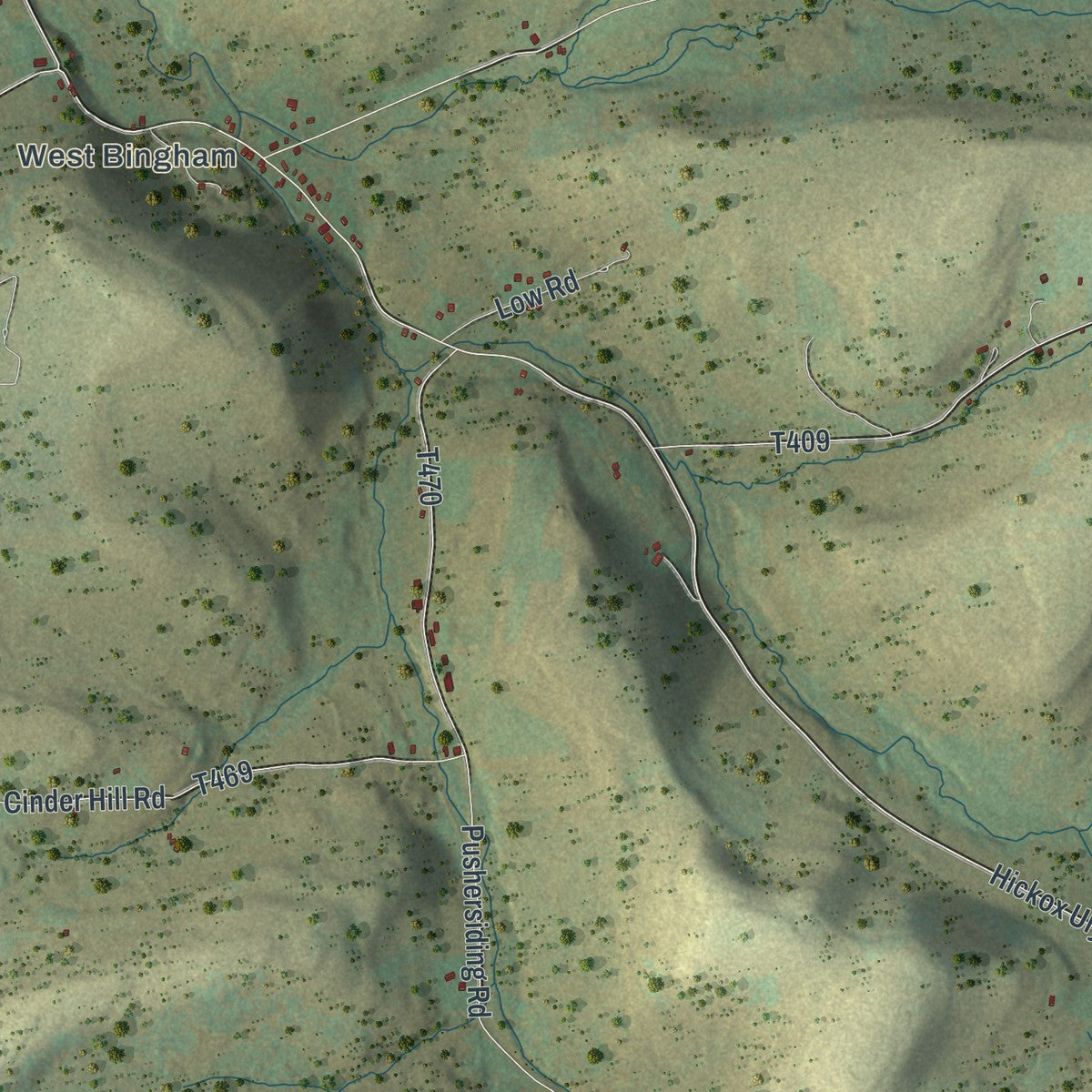 Close-up of the map of Bingham, Pennsylvania print showing street and building detail