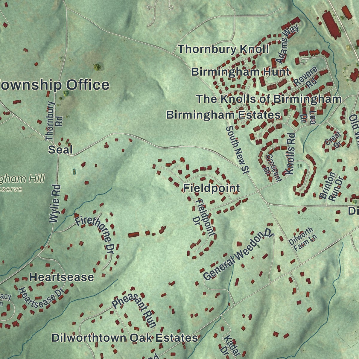 Close-up of the map of Birmingham, Chester County, Pennsylvania print showing street and building detail
