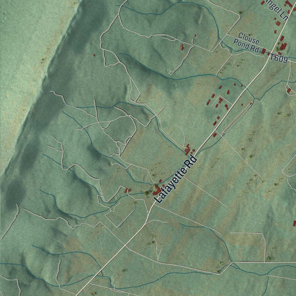 Second close-up of the map of Bloomfield, Bedford County, Pennsylvania print showing more streets and buildings
