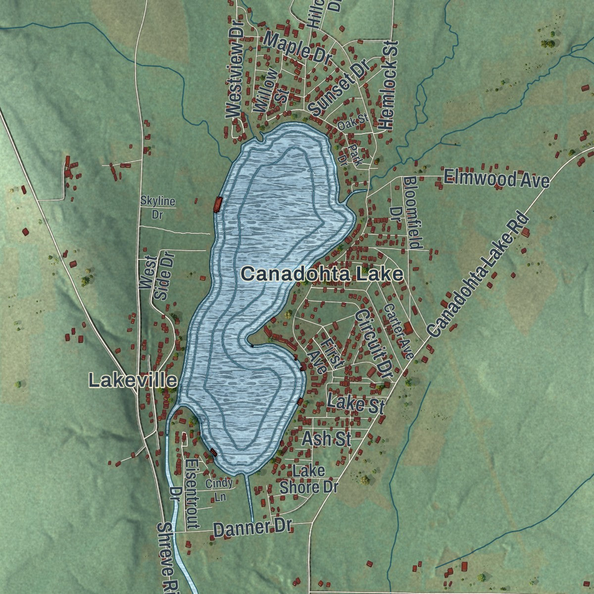 Close-up of the map of Bloomfield, Crawford County, Pennsylvania print showing street and building detail