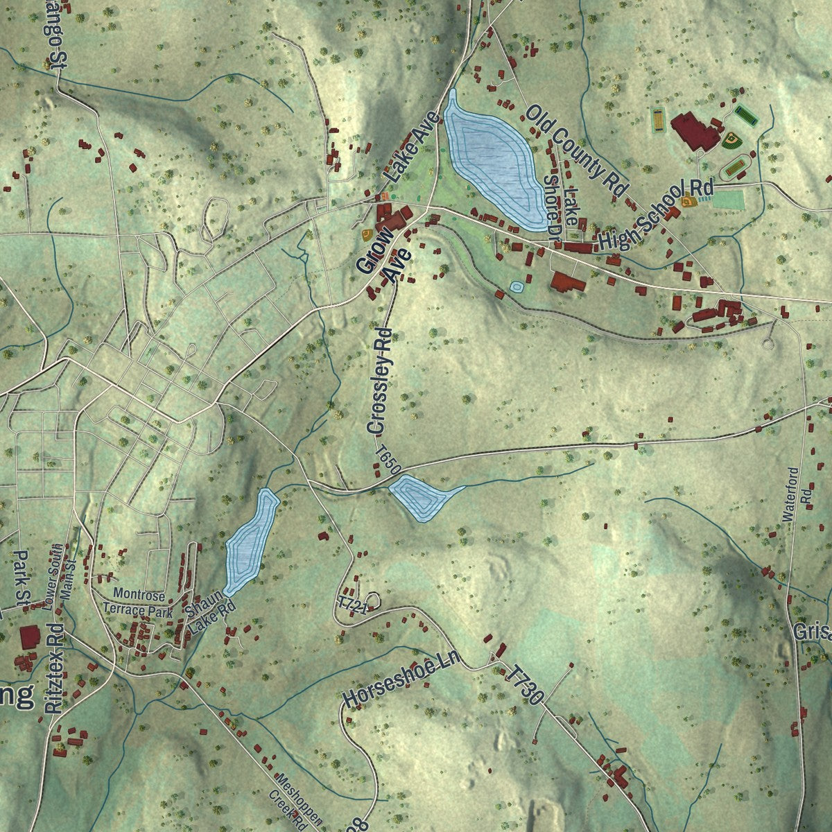Close-up of the map of Bridgewater, Susquehanna County, Pennsylvania print showing street and building detail