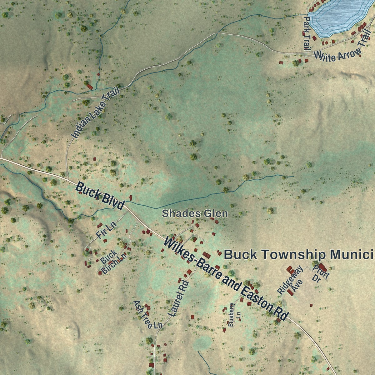 Close-up of the map of Buck, Pennsylvania print showing street and building detail