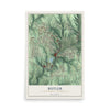 Map of Butler, Butler County, Pennsylvania, 12 x 18 inch unframed archival matte print