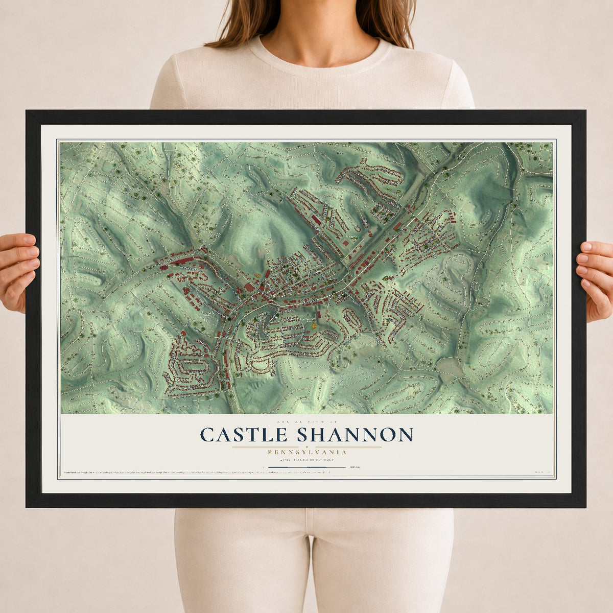 Map of Castle Shannon, Pennsylvania, 18 x 24 inch print in a black wood frame