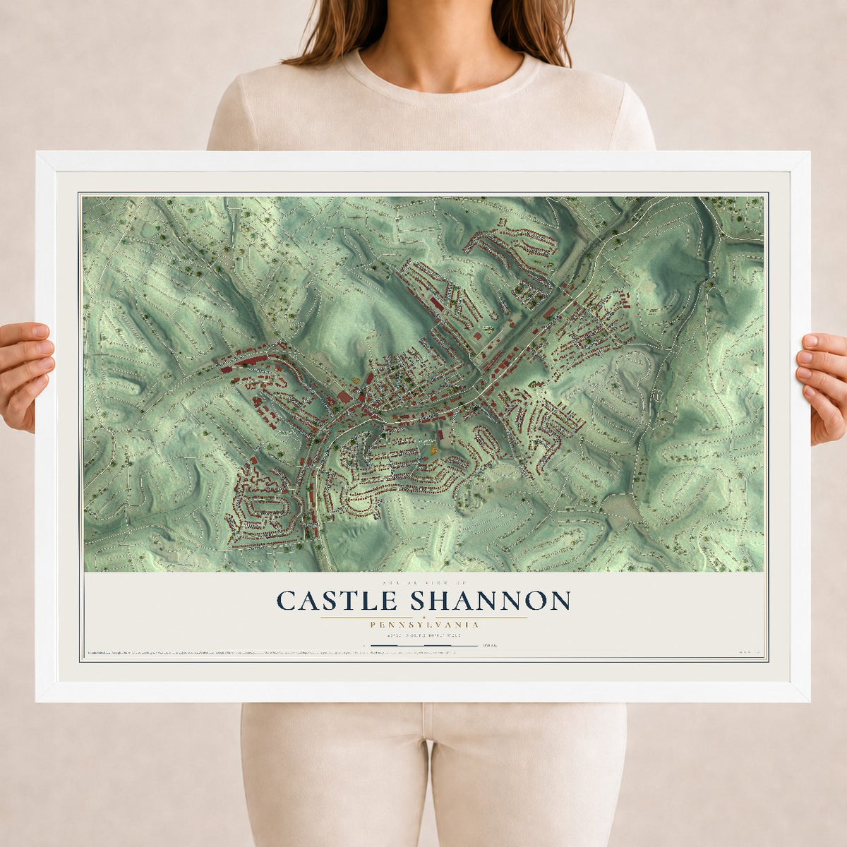Map of Castle Shannon, Pennsylvania, 18 x 24 inch print in a white wood frame