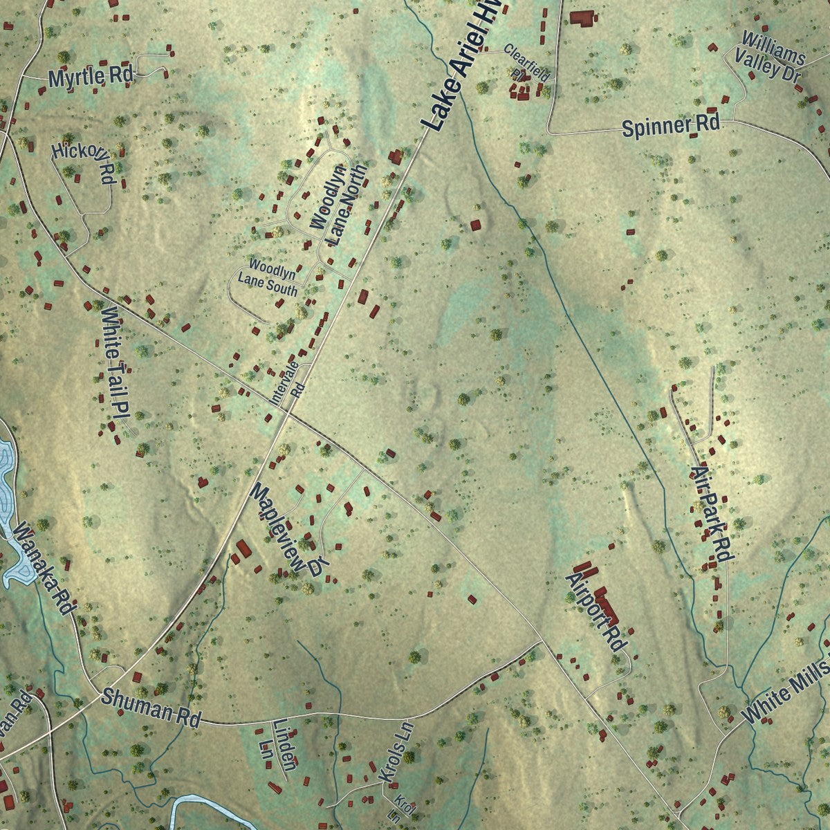 Second close-up of the map of Cherry Ridge, Pennsylvania print showing more streets and buildings