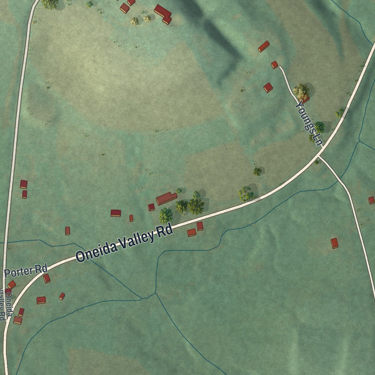 Close-up of the map of Cherry Valley, Pennsylvania print showing street and building detail