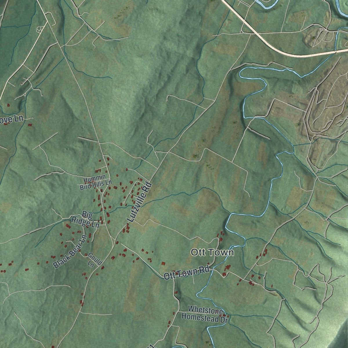 Second close-up of the map of Colerain, Bedford County, Pennsylvania print showing more streets and buildings