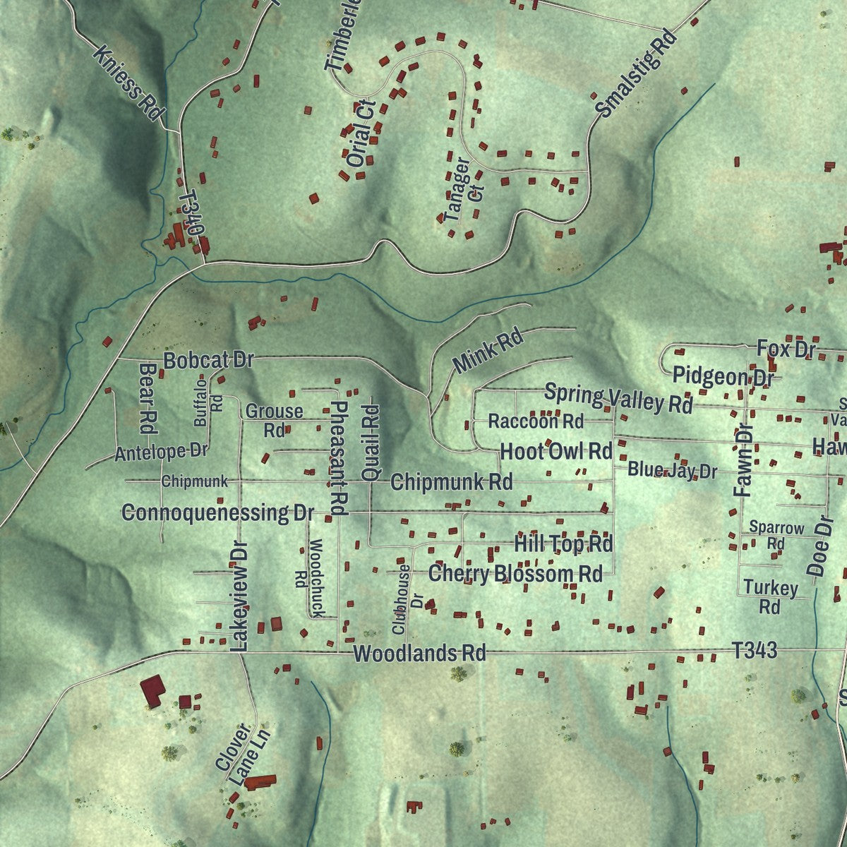 Second close-up of the map of Connoquenessing, Butler County, Pennsylvania print showing more streets and buildings