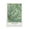 Map of Cross Creek, Pennsylvania, 12 x 18 inch unframed archival matte print