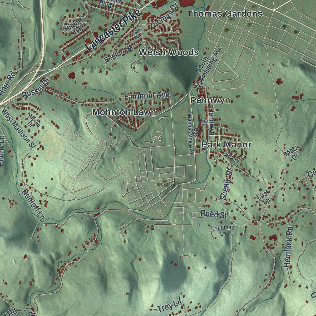 Close-up of the map of Cumru, Pennsylvania print showing street and building detail