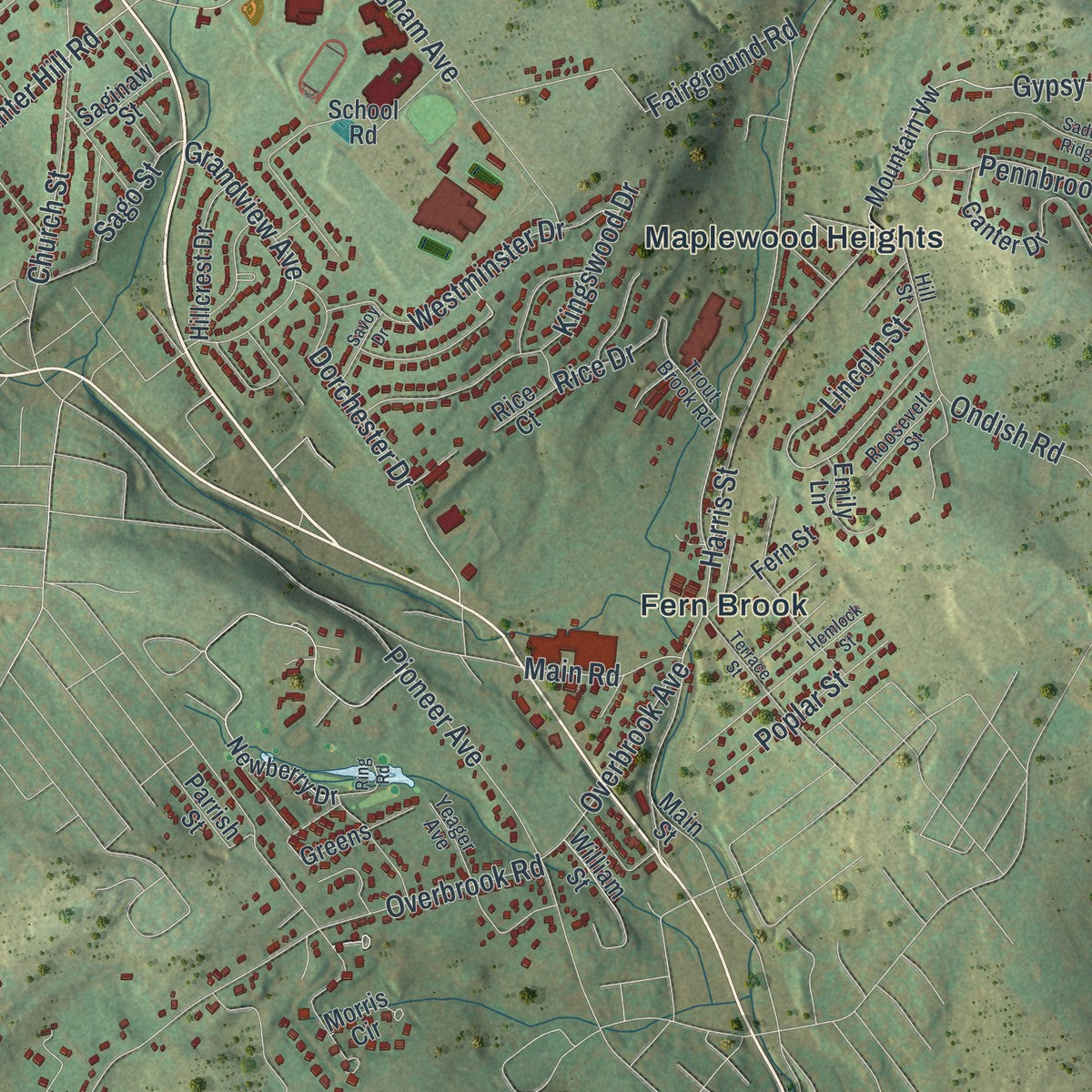 Close-up of the map of Dallas, Luzerne County, Pennsylvania print showing street and building detail