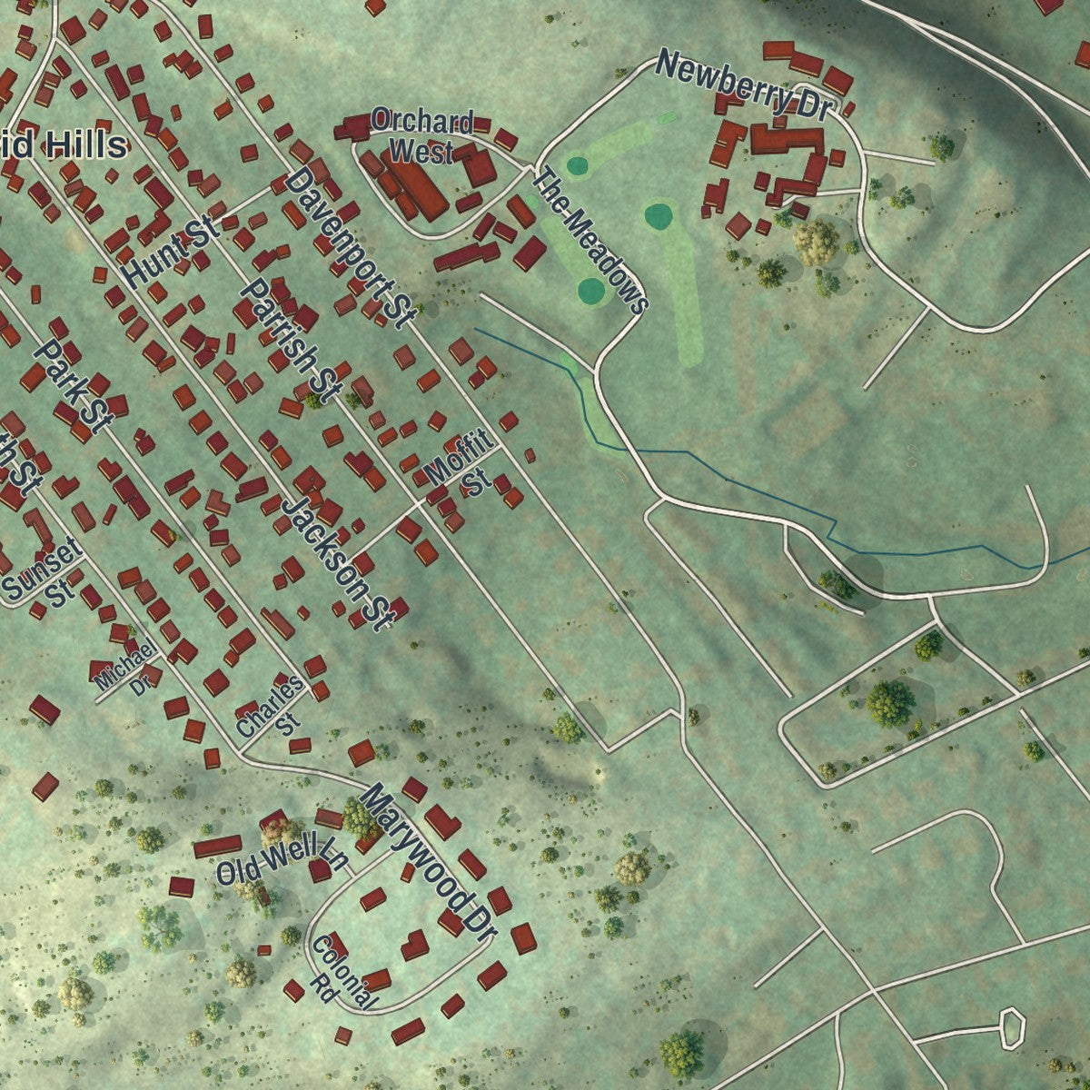 Second close-up of the map of the Borough of Dallas, Luzerne County, Pennsylvania print showing more streets and buildings