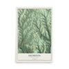 Map of Deemston, Pennsylvania, 12 x 18 inch unframed archival matte print