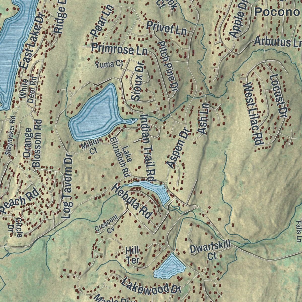 Close-up of the map of Dingman, Pennsylvania print showing street and building detail