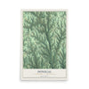 Map of Donegal, Butler County, Pennsylvania, 12 x 18 inch unframed archival matte print