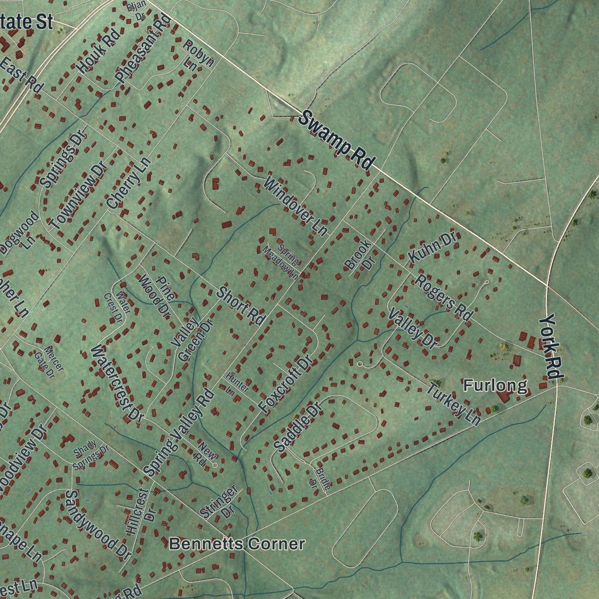 Second close-up of the map of Doylestown, Bucks County, Pennsylvania print showing more streets and buildings