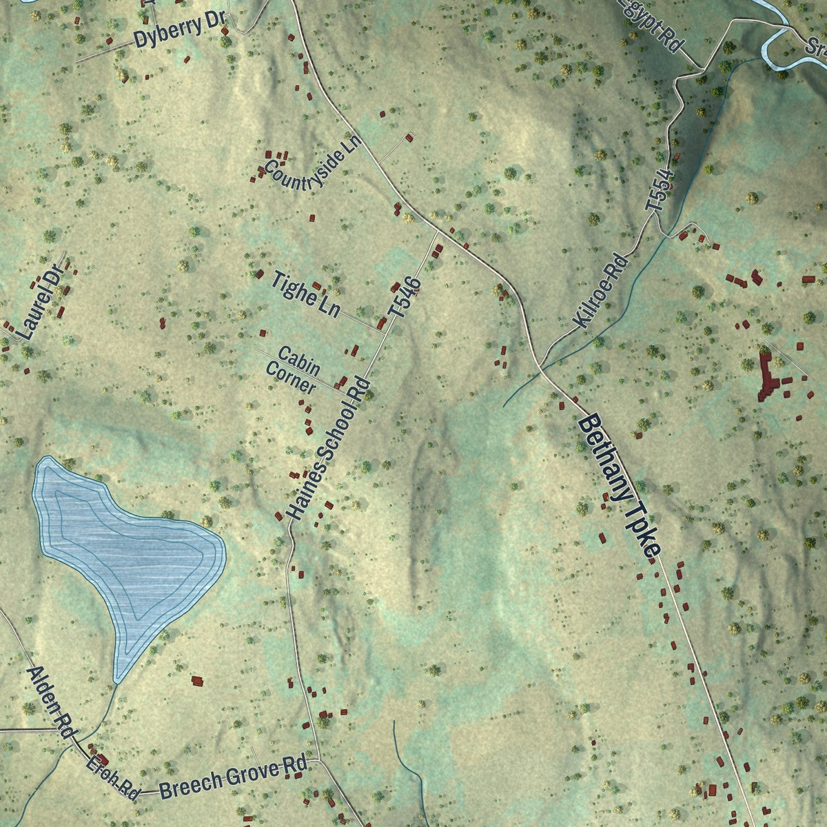 Close-up of the map of Dyberry, Pennsylvania print showing street and building detail