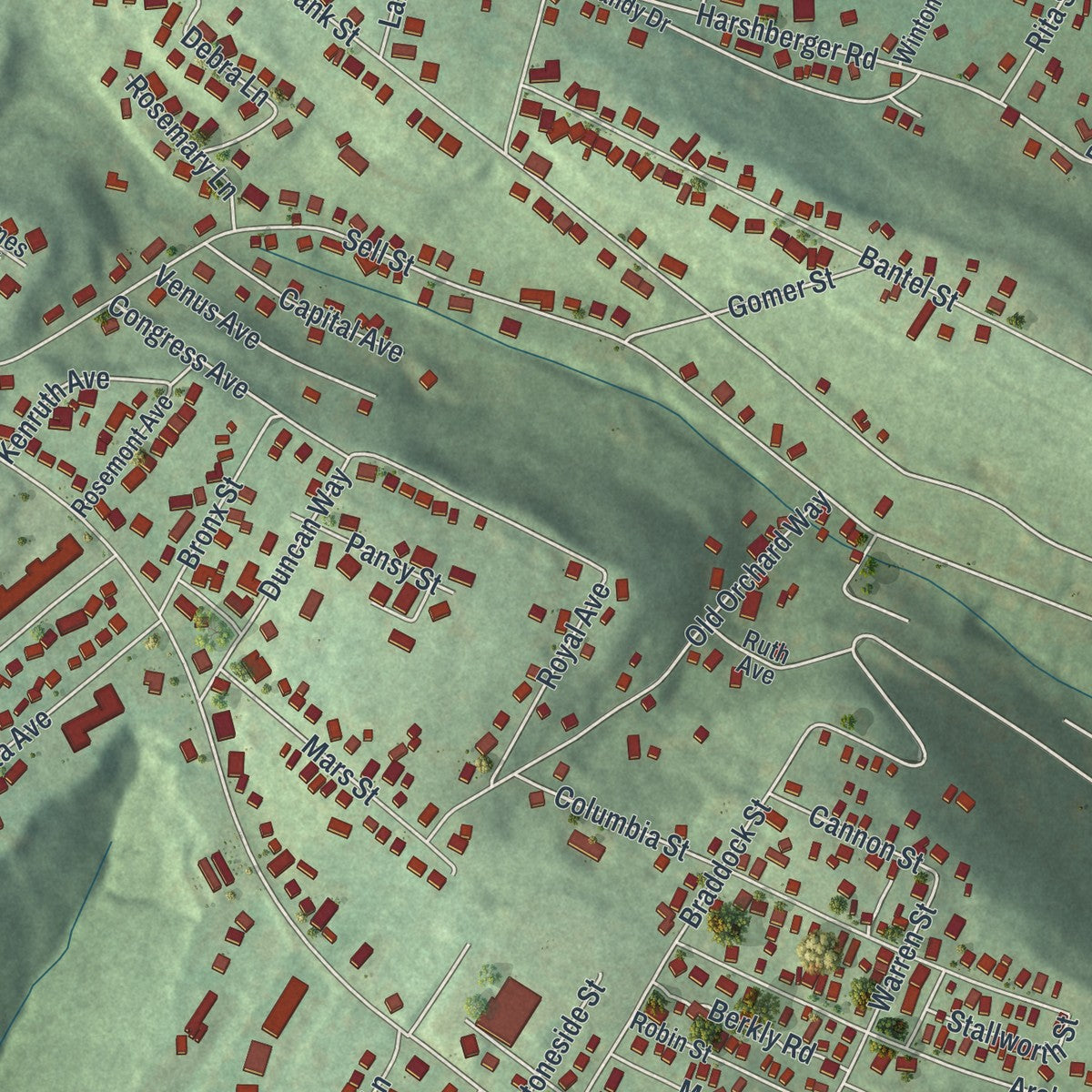 Close-up of the map of Elim, Pennsylvania print showing street and building detail