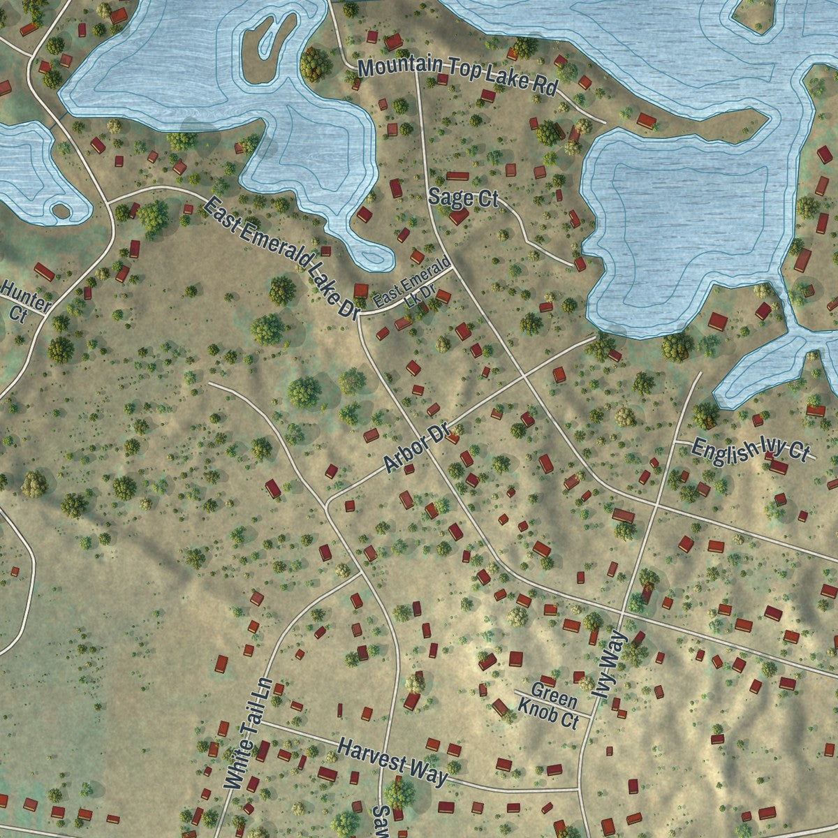 Close-up of the map of Emerald Lakes, Pennsylvania print showing street and building detail