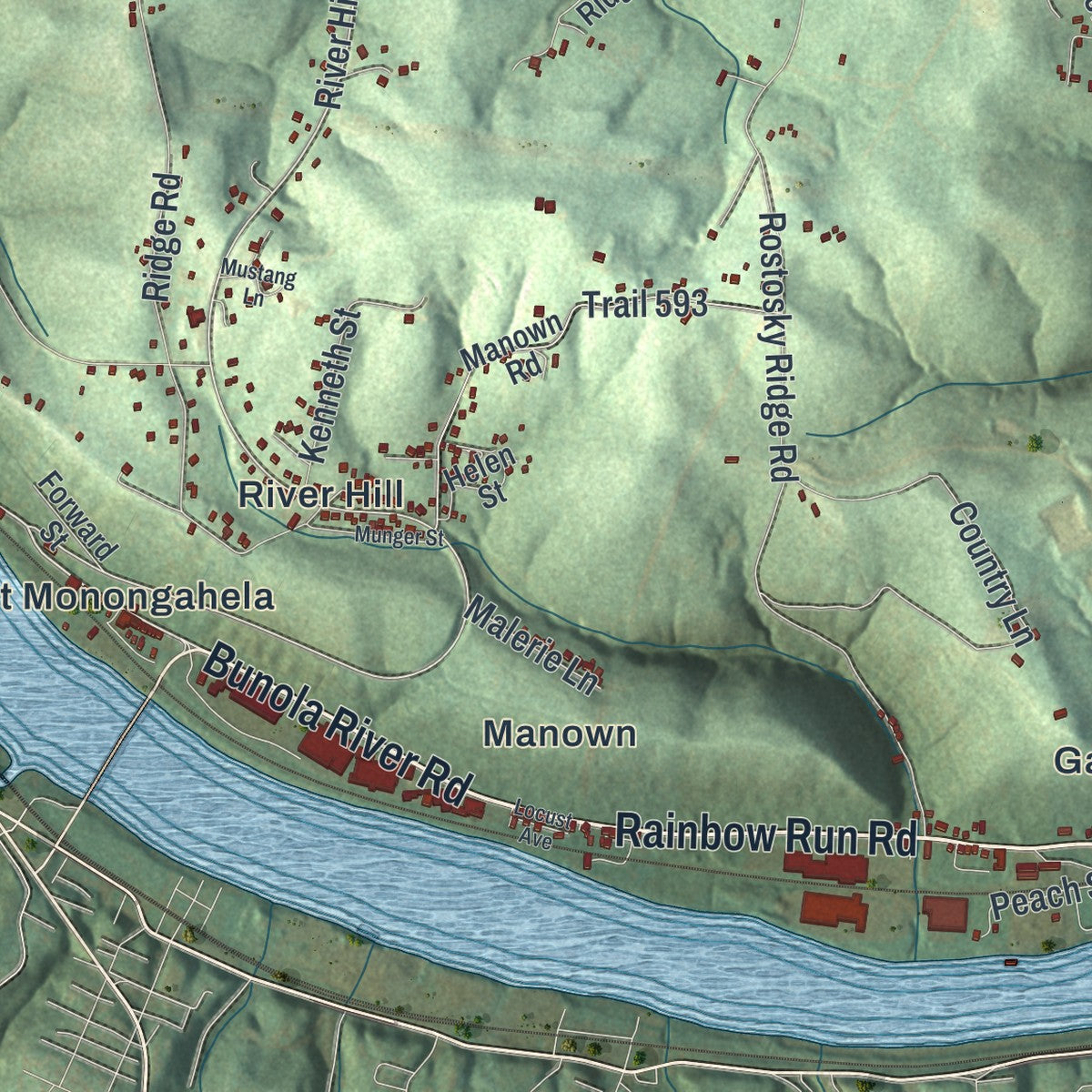Close-up of the map of Forward, Allegheny County, Pennsylvania print showing street and building detail