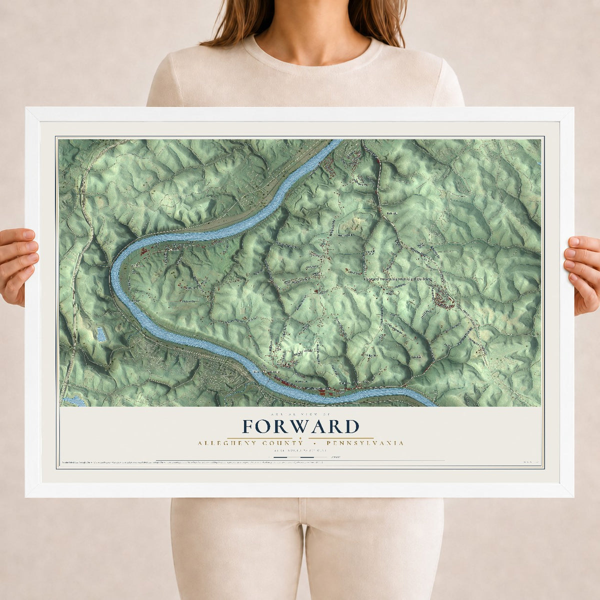 Map of Forward, Allegheny County, Pennsylvania, 18 x 24 inch print in a white wood frame