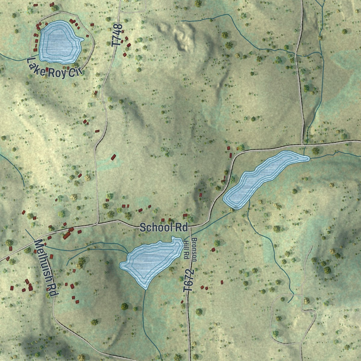Close-up of the map of Franklin, Susquehanna County, Pennsylvania print showing street and building detail