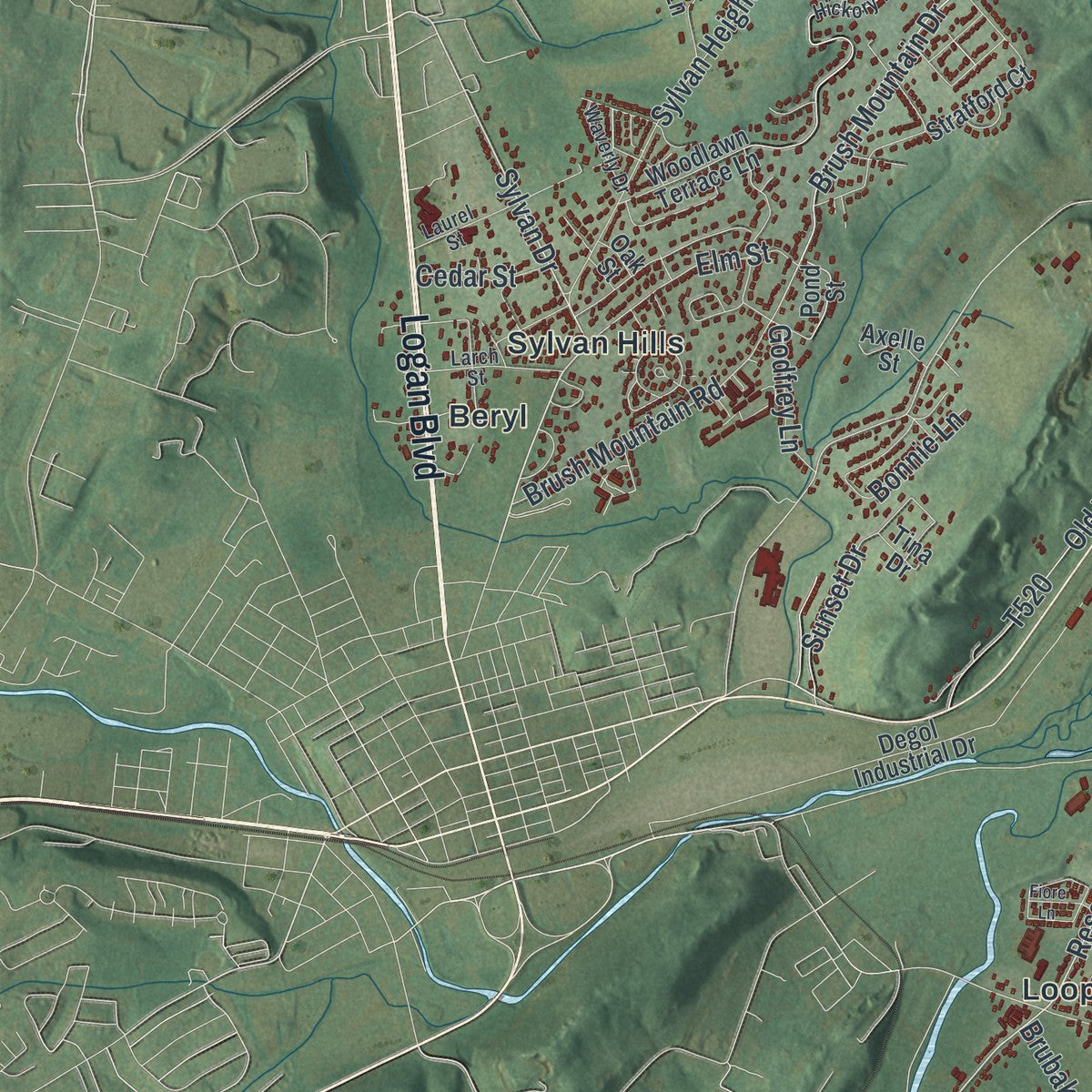 Close-up of the map of Frankstown, Pennsylvania print showing street and building detail