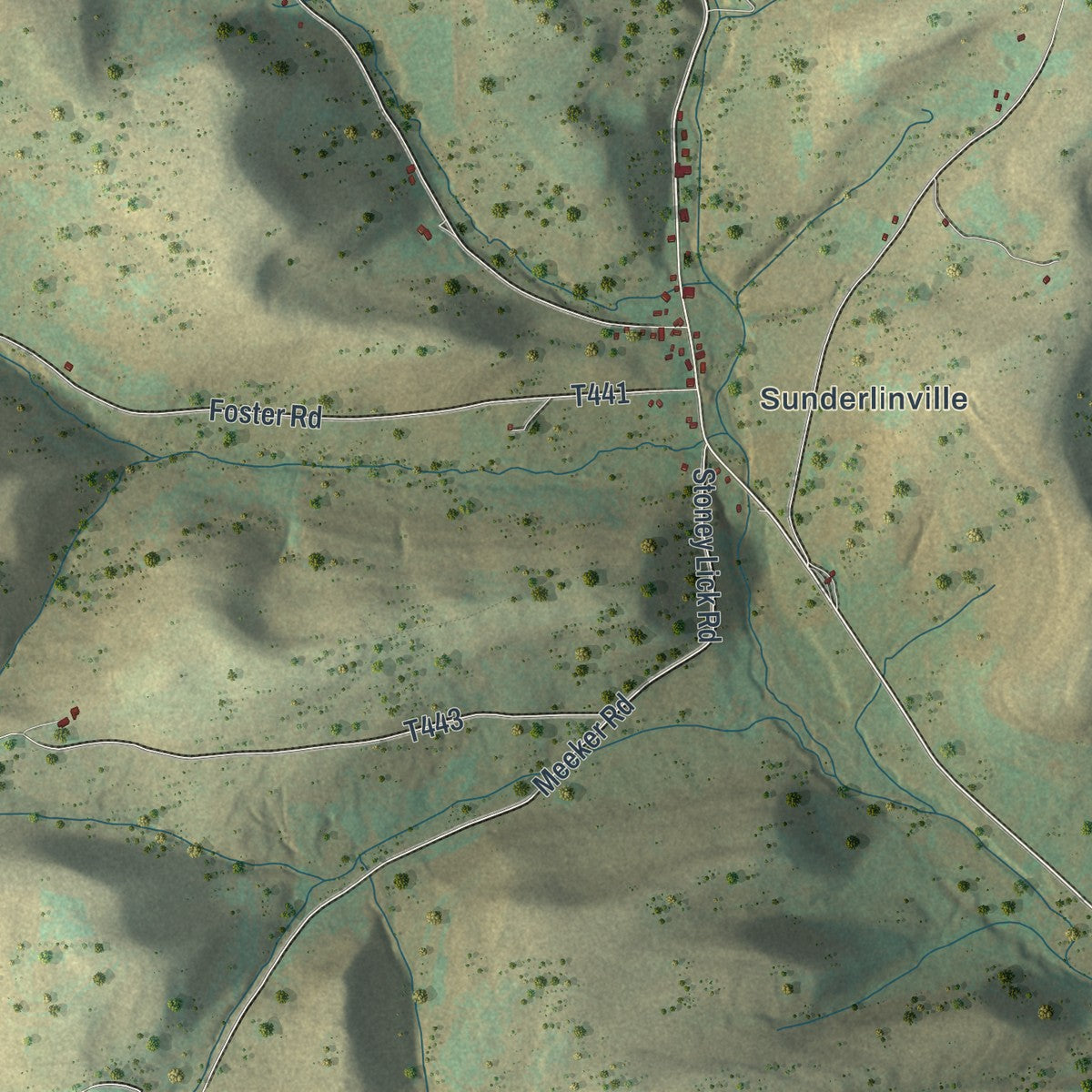Close-up of the map of Hector, Pennsylvania print showing street and building detail