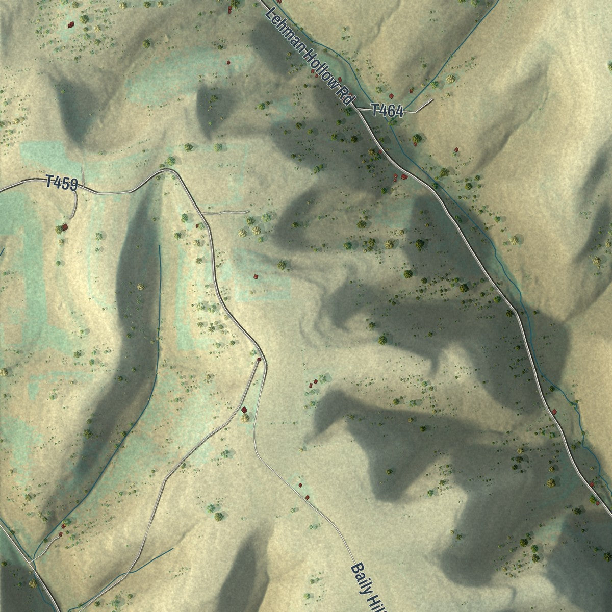 Second close-up of the map of Hector, Pennsylvania print showing more streets and buildings
