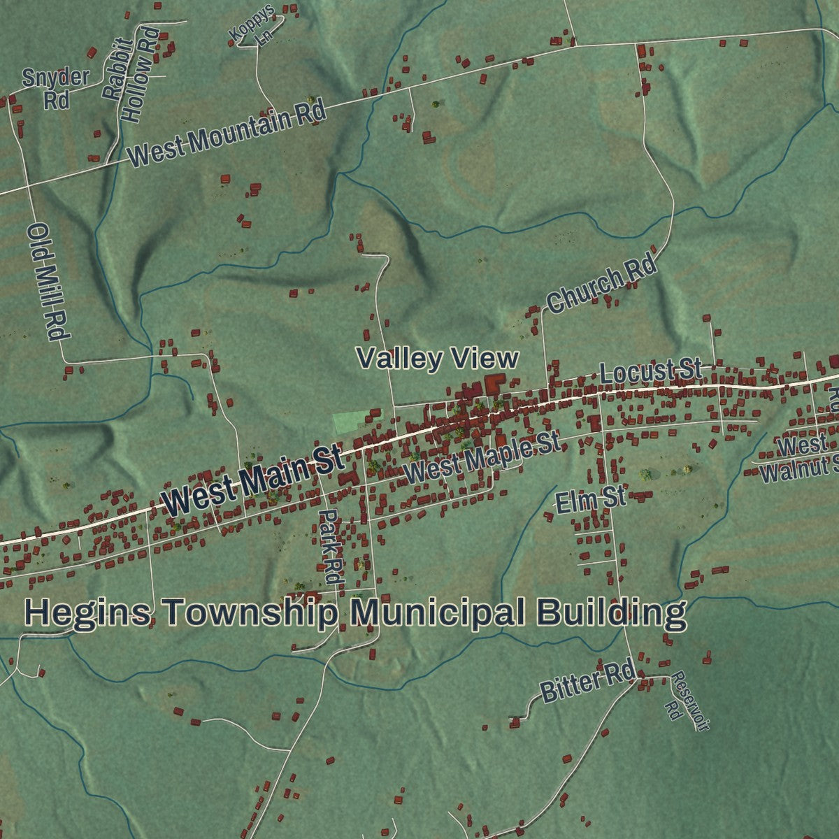 Close-up of the map of Hegins, Pennsylvania print showing street and building detail