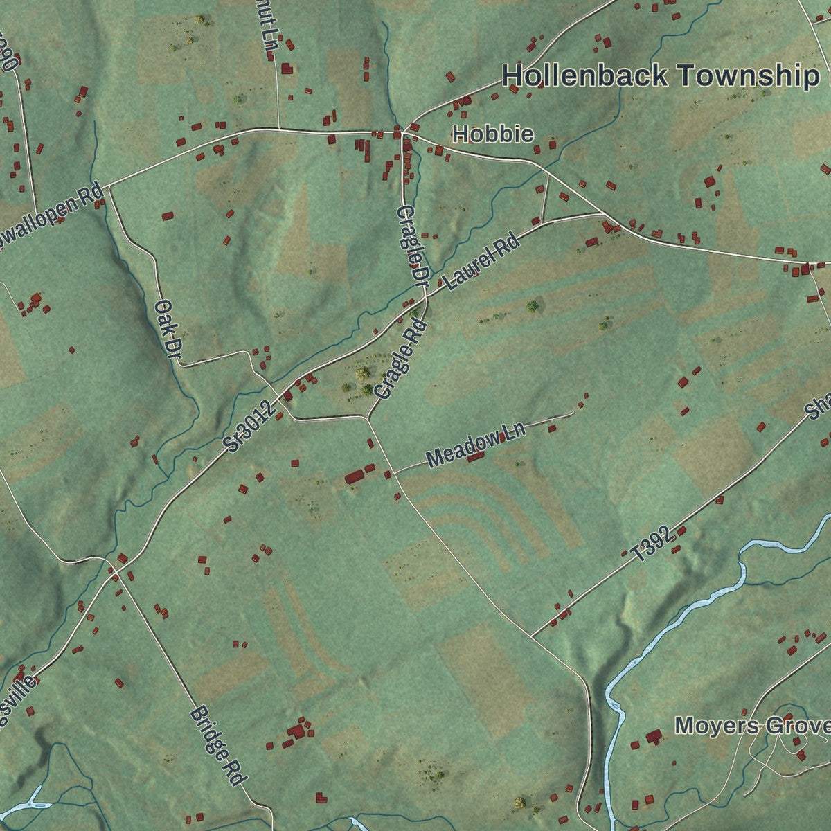 Second close-up of the map of Hollenback, Pennsylvania print showing more streets and buildings