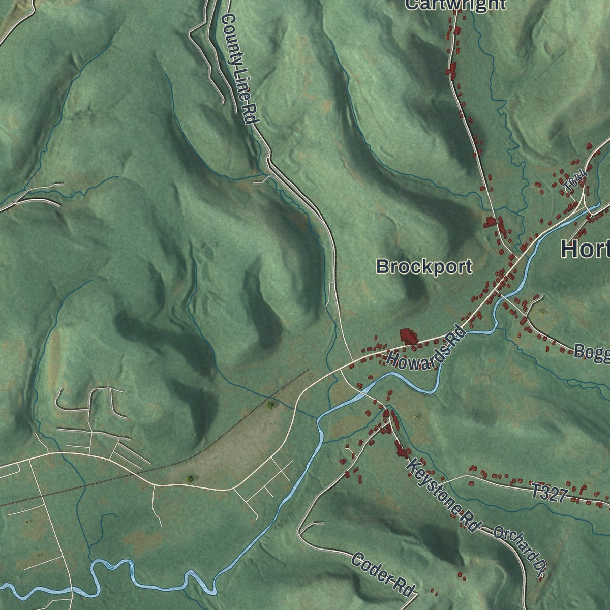 Close-up of the map of Horton, Pennsylvania print showing street and building detail