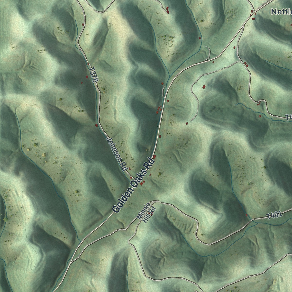 Close-up of the map of Jackson, Greene County, Pennsylvania print showing street and building detail